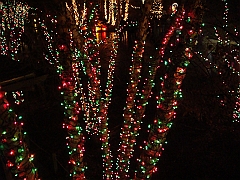 015 Toledo Zoo Light Show [2008 Dec 27]